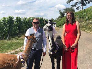 Wanderungen Gruppen63b8622d-6440-4b35-8684-23ebf87434eb (1)