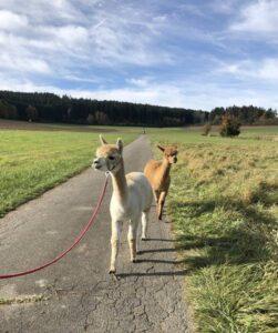 Wanderungen GruppenFoto 20.10.21, 11 10 35