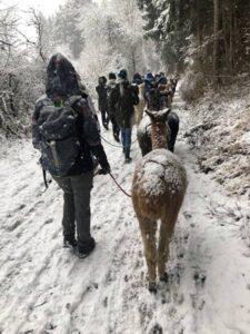 Wanderungen GruppenFoto 27.11.21, 11 17 23