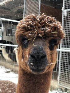 Wanderungen GruppenIMG_4515