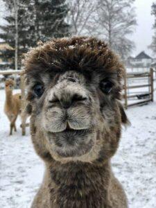 Wanderungen GruppenIMG_4549