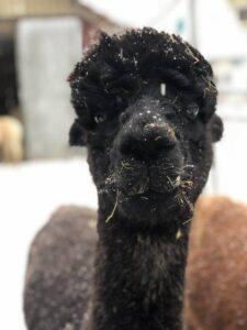 Wanderungen GruppenIMG_4575