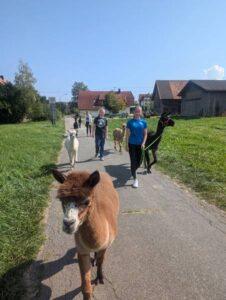 Wanderungen GruppenPXL_20240829_095245059