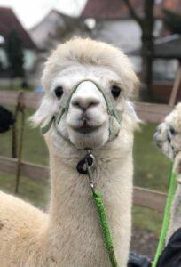 Wanderungen GruppenQNMW8707